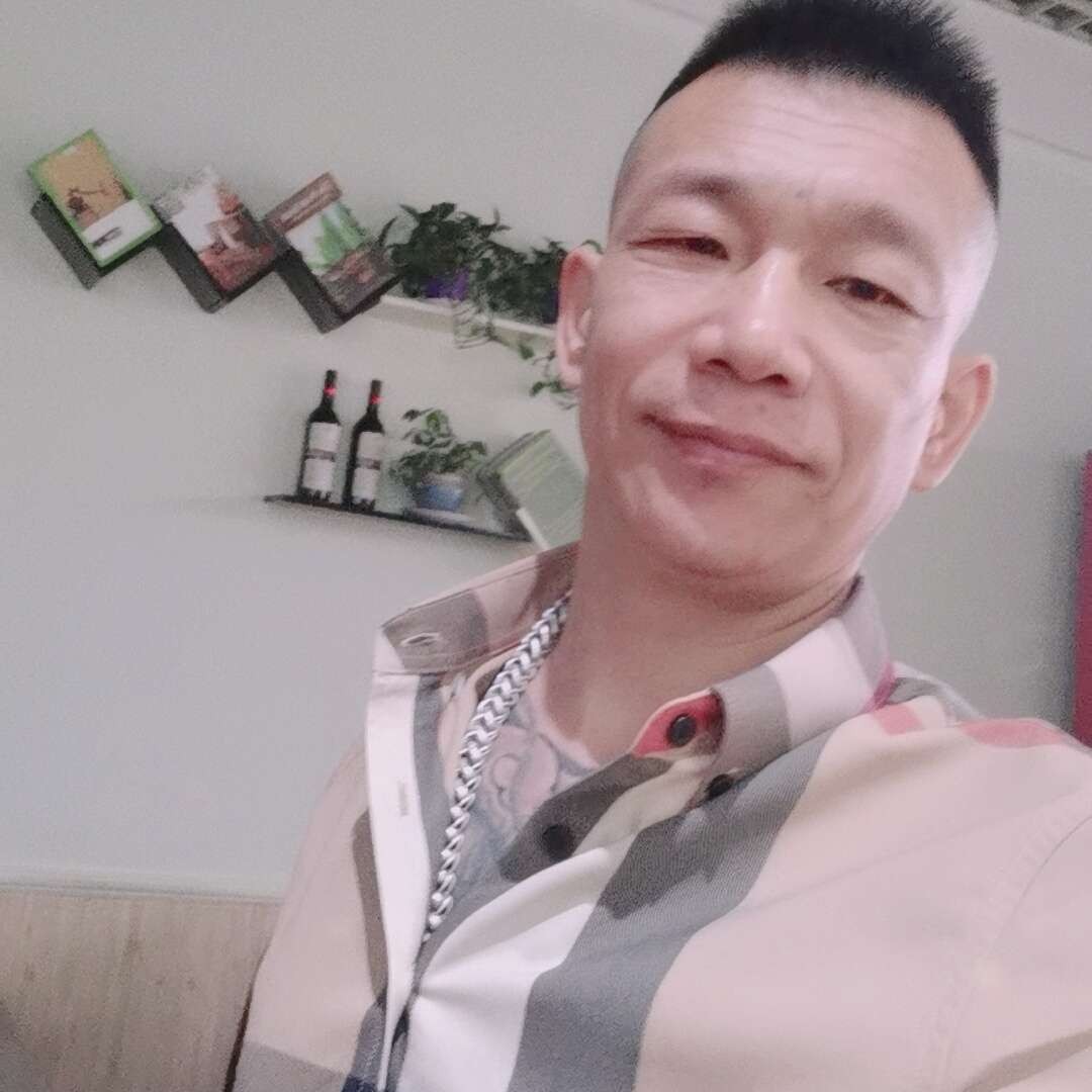 儒雅拾忆向日葵的照片