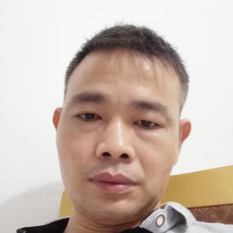 缓慢与小刺猬的照片