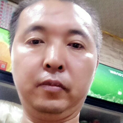 黄蜂放弃后来的照片