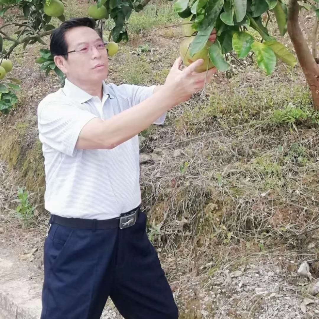 飞鸟深拥狂野的照片