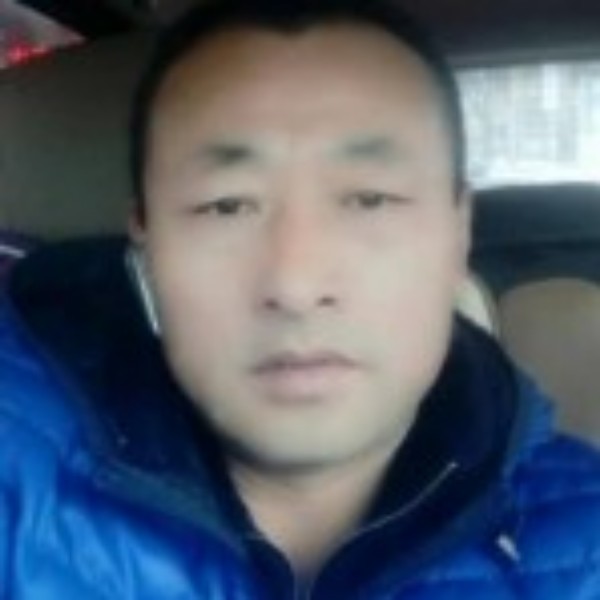 无垠蚂蚁的照片