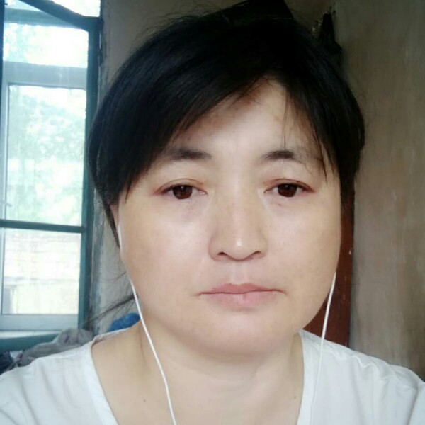 大胆刺猬的照片
