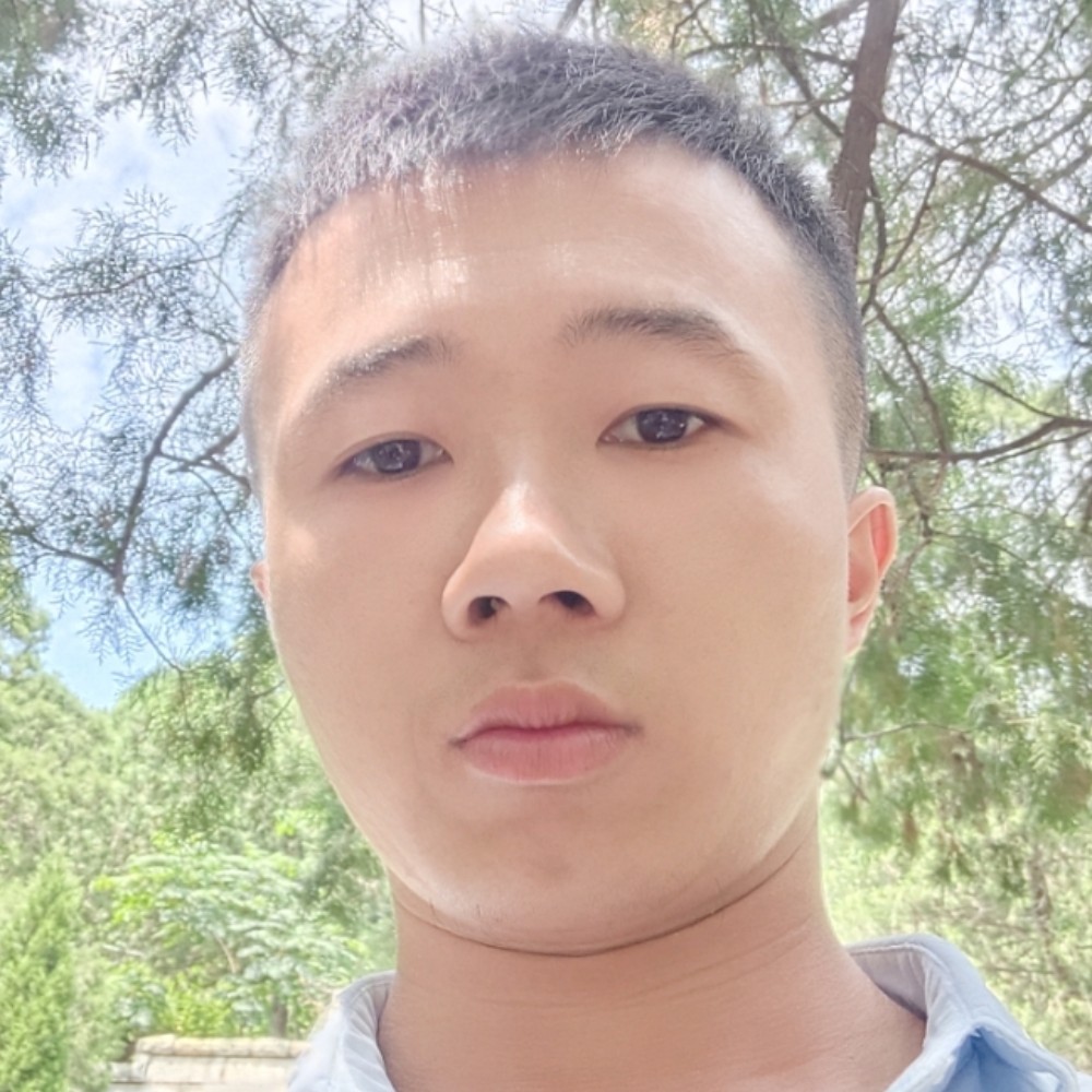 传统浅吻河马的照片