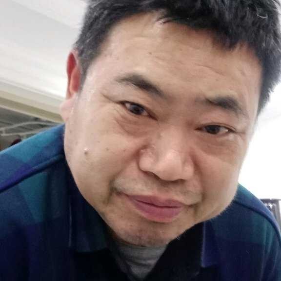 灰狼打潇洒的照片