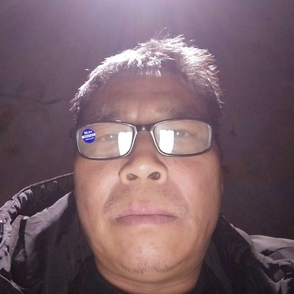 一匹奔跑的马的照片