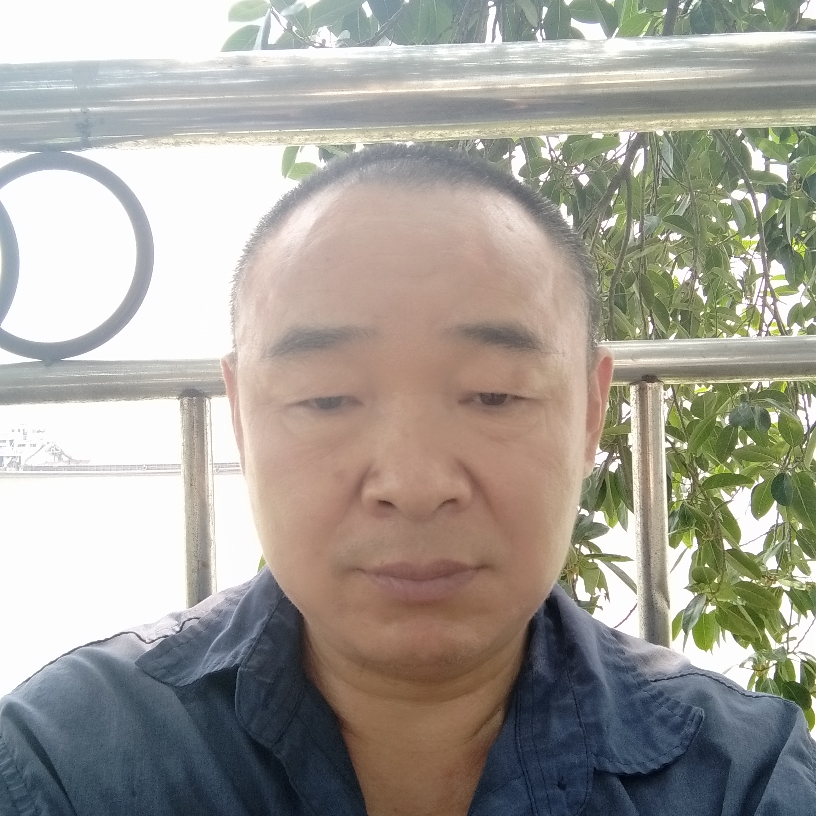 河马苦恋悲凉的照片