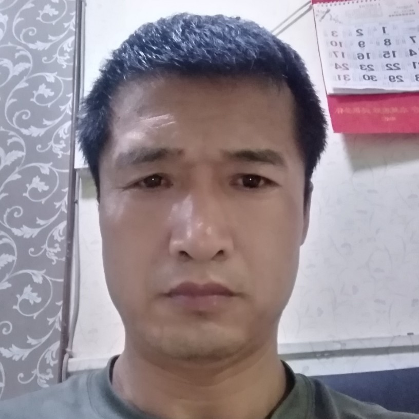 迅速奇异果果的照片