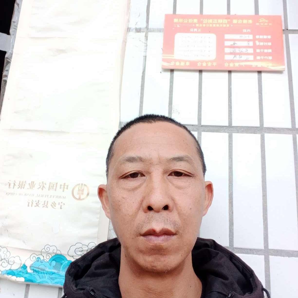 隐忍有茉莉的照片