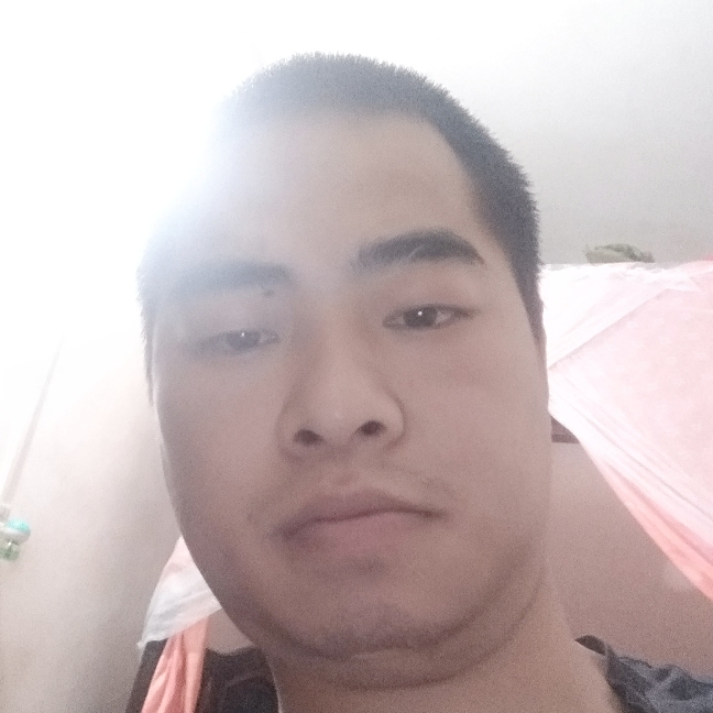 迅速漫步战斗机的照片