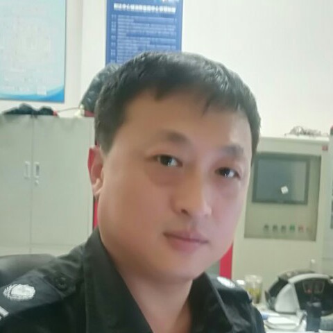 大胆灰狼的照片