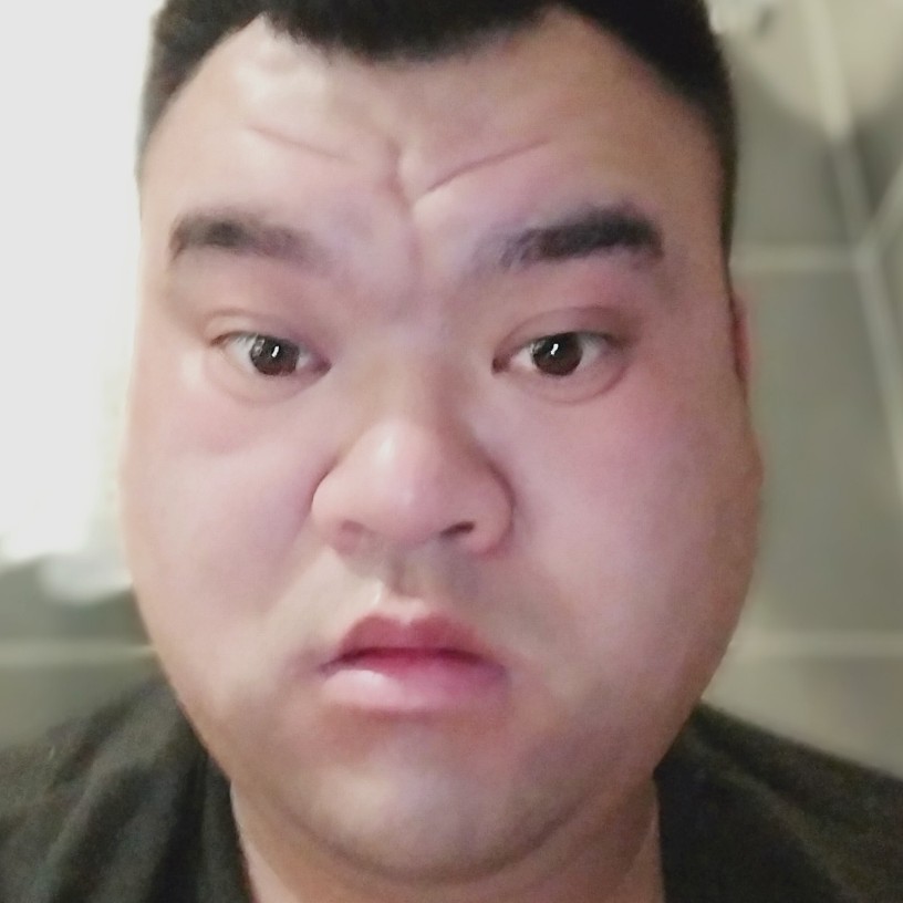 幽默爱小海豚的照片