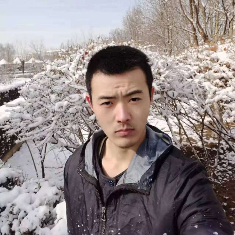 福宝归来的照片