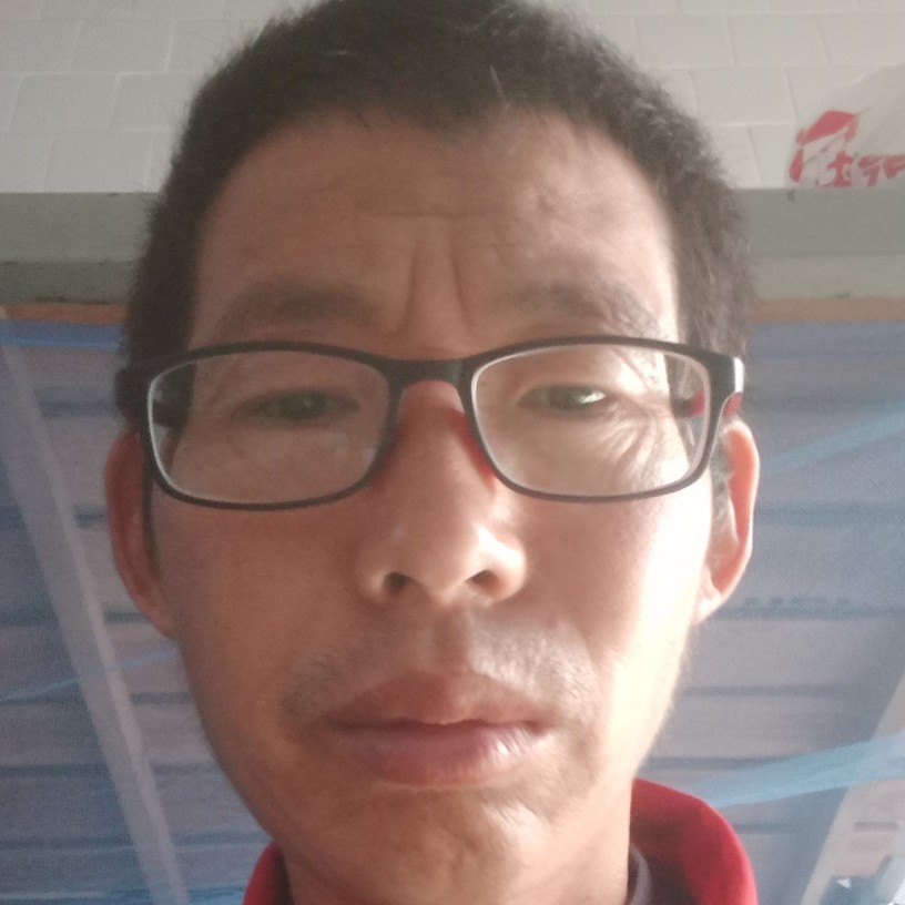 寻找真心爱的照片