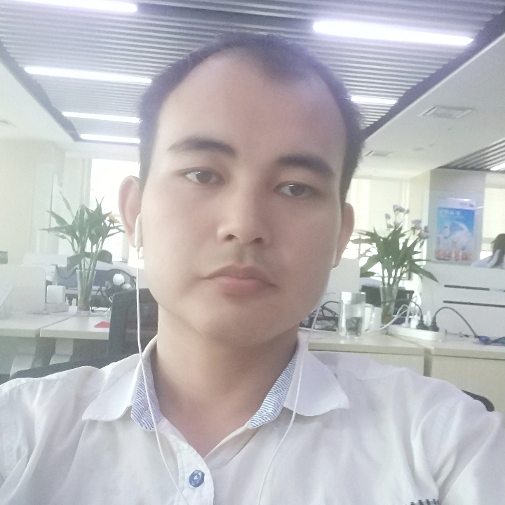 玫瑰放弃彼年的照片
