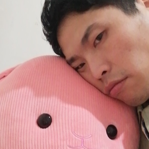 乌龟舒服的照片