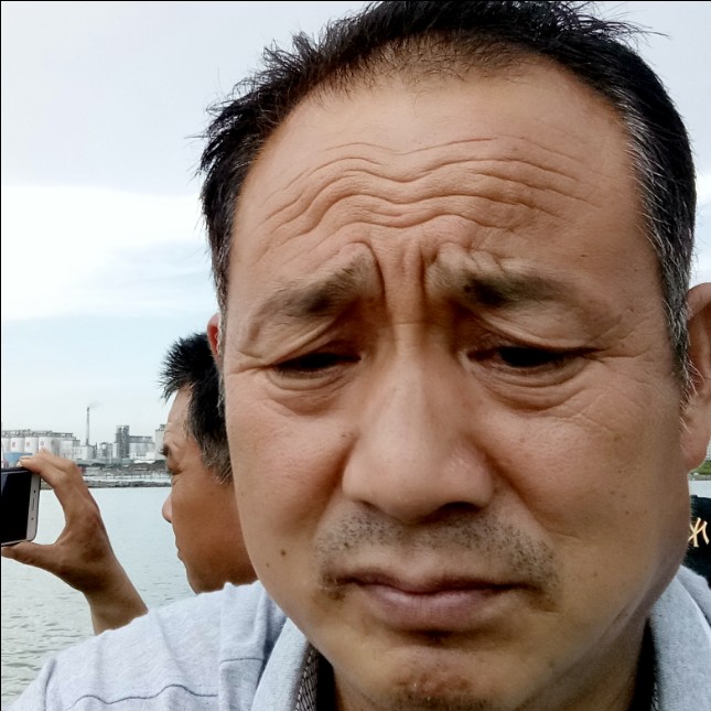 芝麻倾心沉默的照片