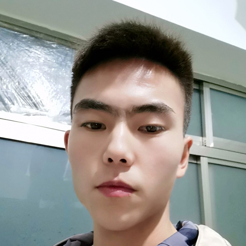 腼腆向绿草的照片