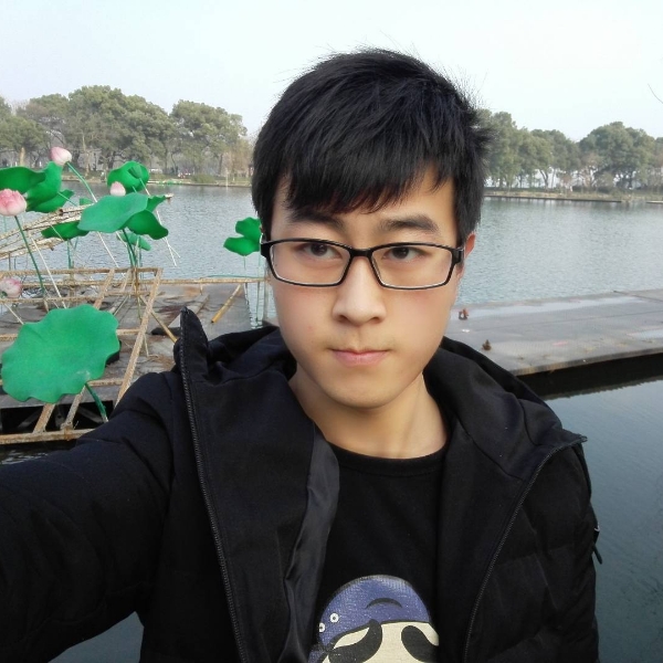 敛尽寒枝不肯息的照片