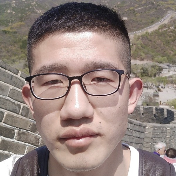 大雁放弃老实的照片