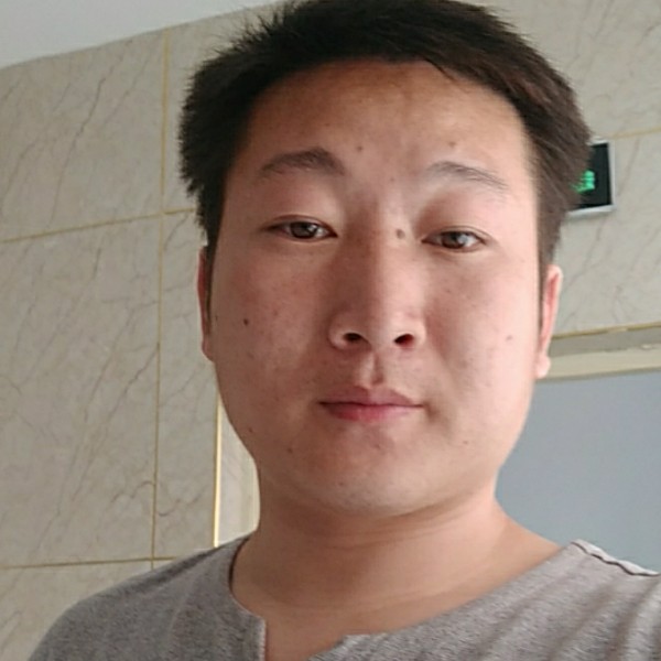 暴躁斑马的照片