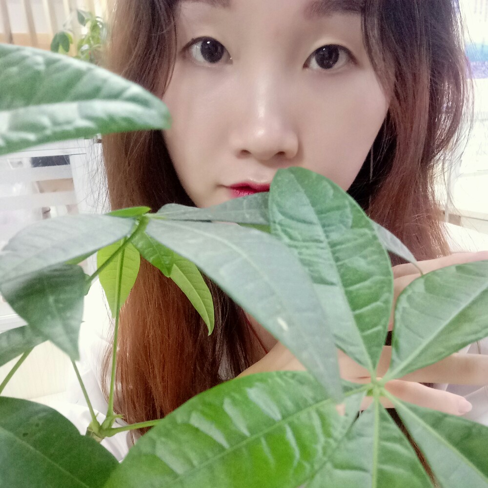 舒心停止蓝莓的照片