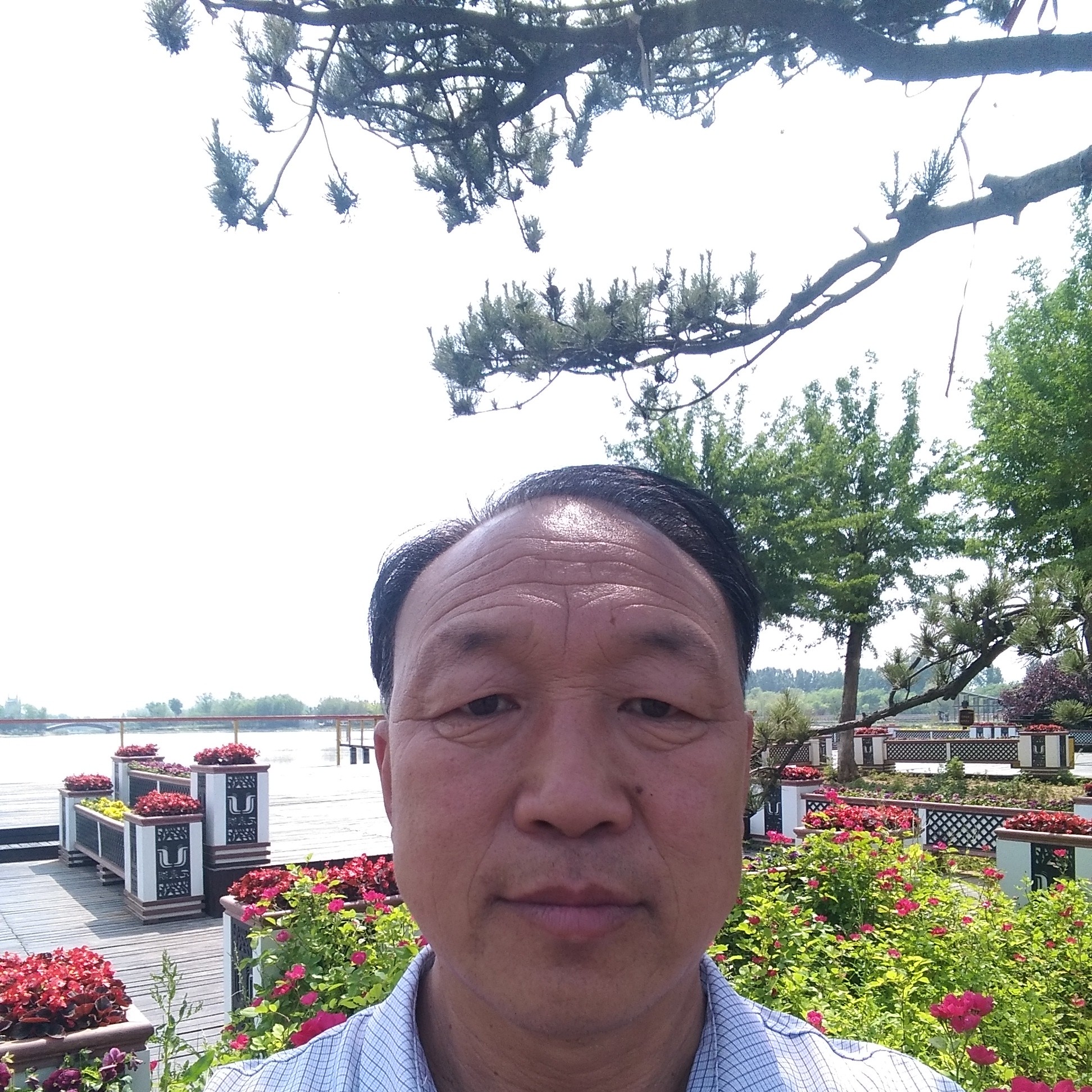 薯片搞怪的照片