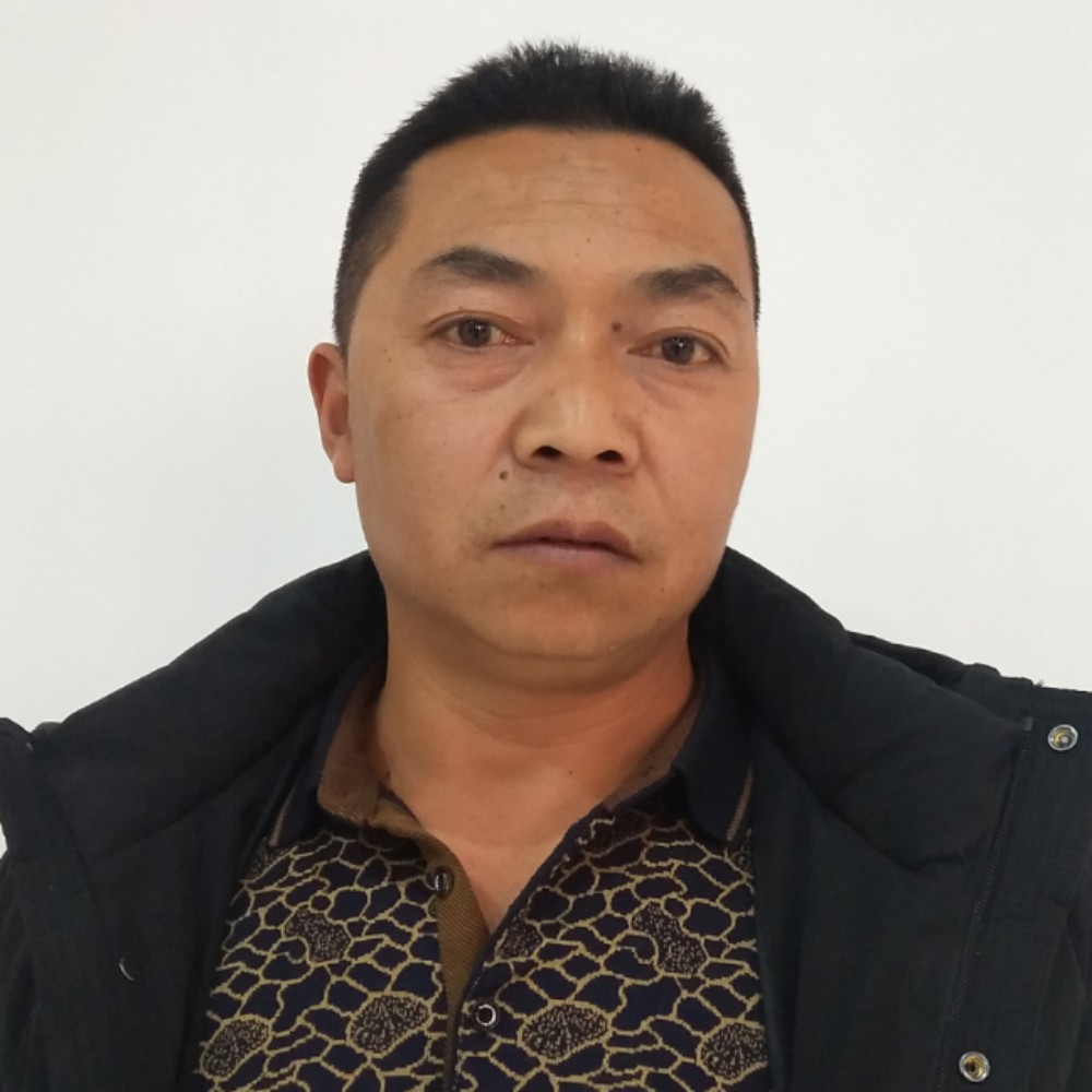 苗条多么紧张的照片
