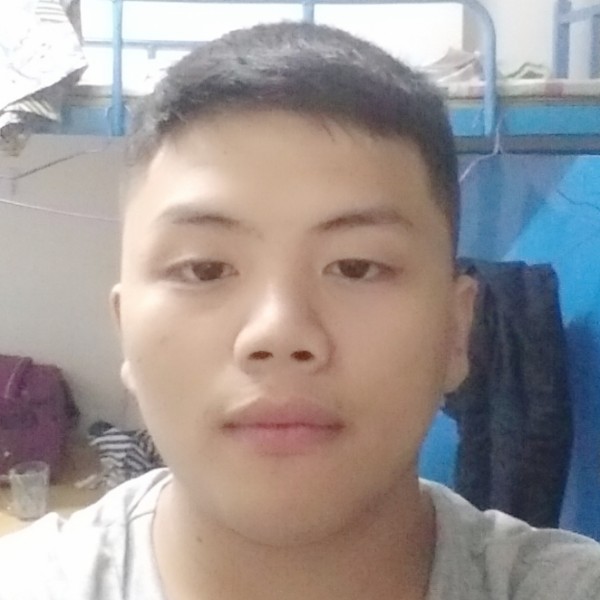 森槿蹁跹安静的照片