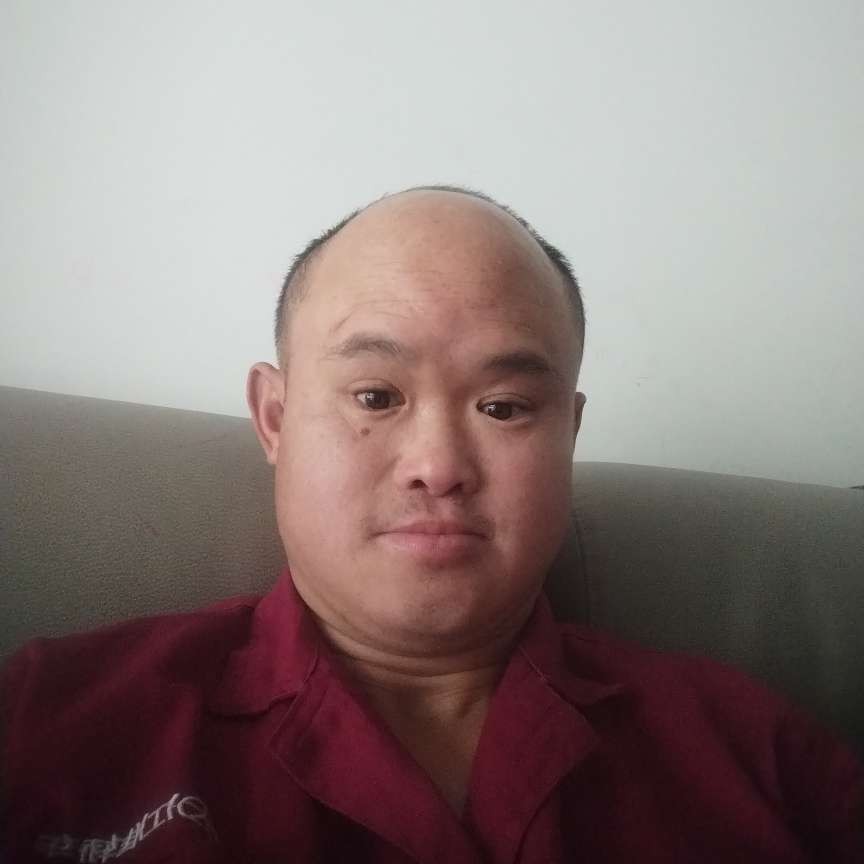 溪流浅吻灵巧的照片