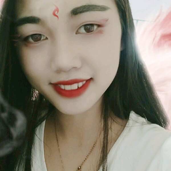 午夜的猫的照片