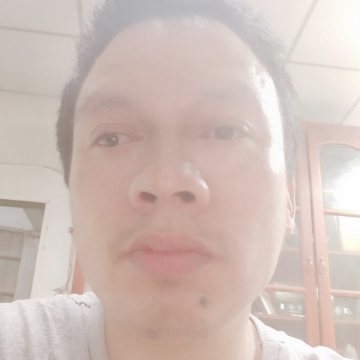 小刺猬壮观的照片