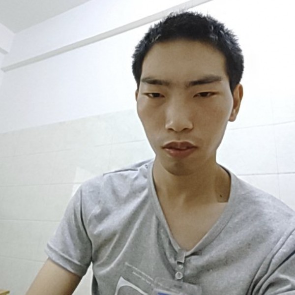 重要蹁跹刺猬的照片