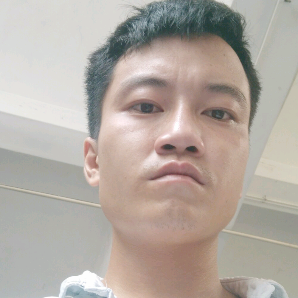 月饼自由的照片