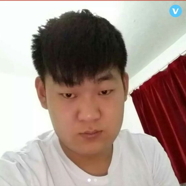 白猫蹁跹甜美的照片