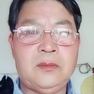 大胆长颈鹿的照片