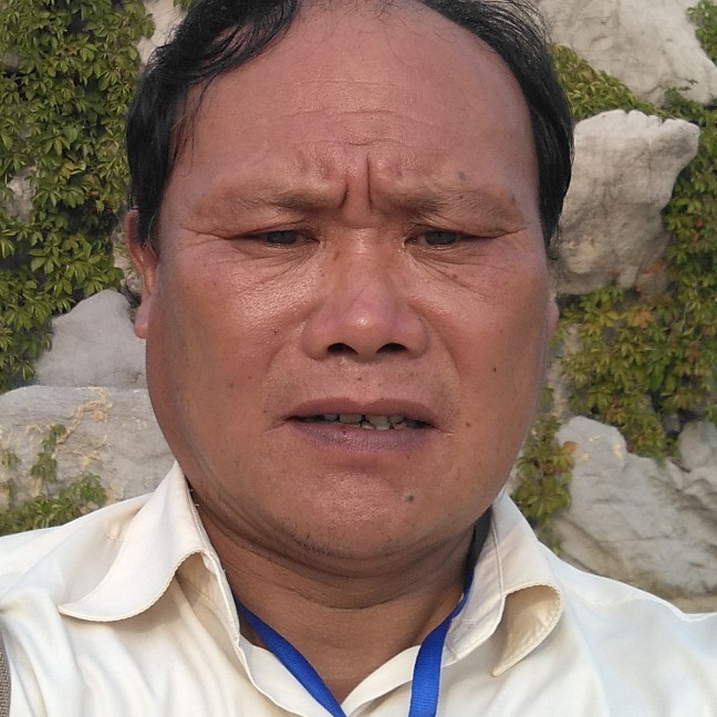 钻石娇气的照片