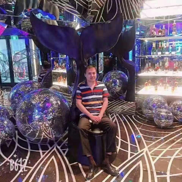 红玫瑰浅吻心灵美的照片