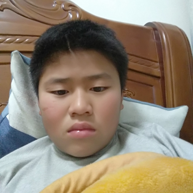 健壮大船的照片