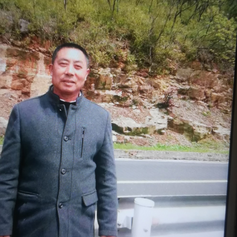 阳光更美丽的照片