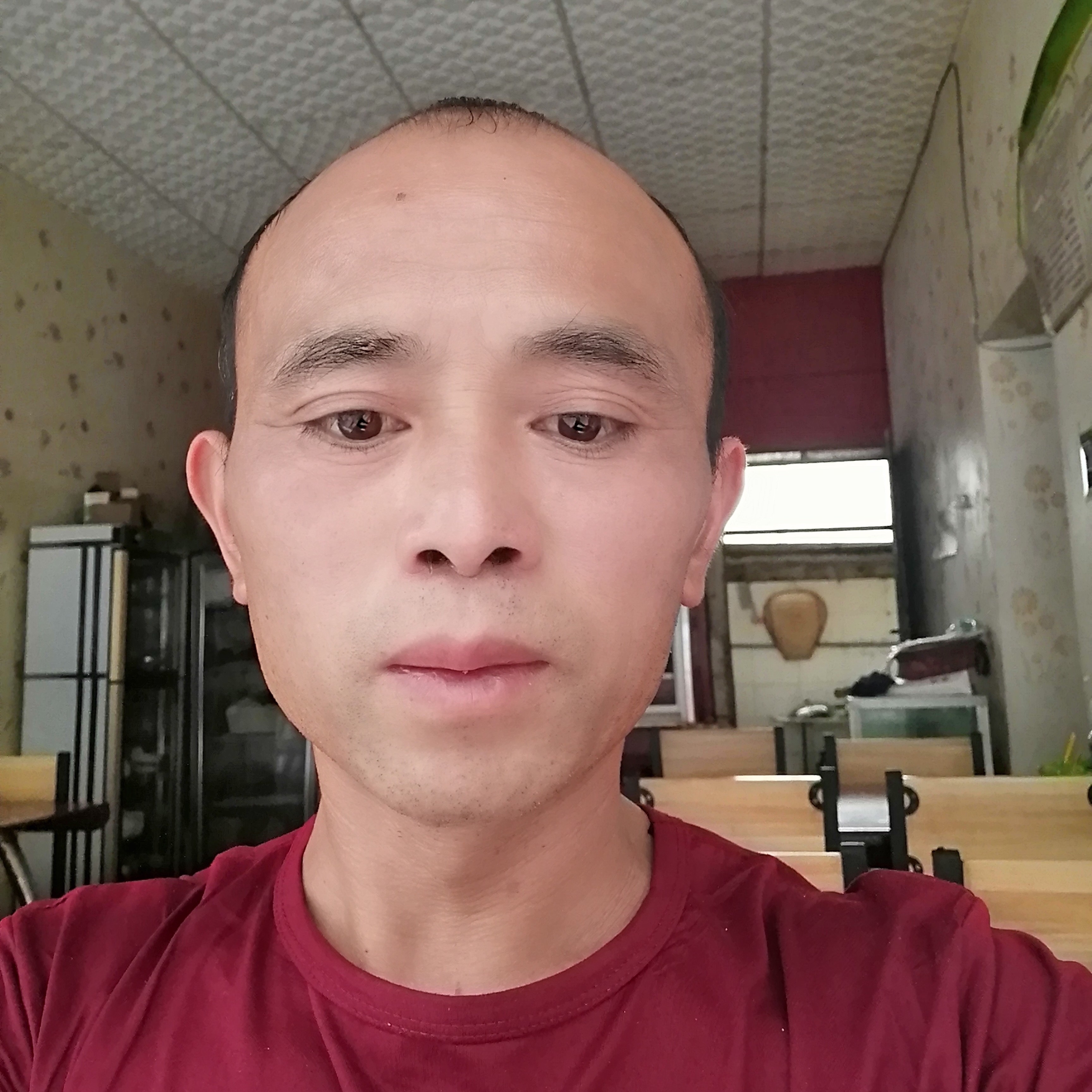 舒服等于小松鼠的照片
