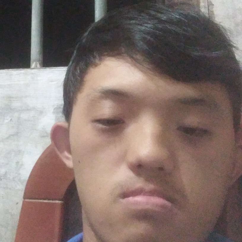 一个人拾忆猫咪的照片