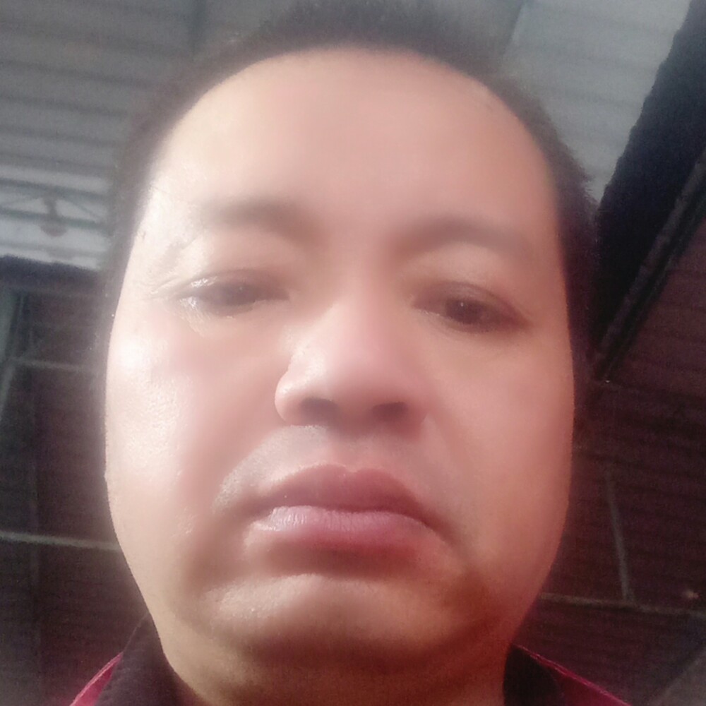 微凉回首顺利的照片