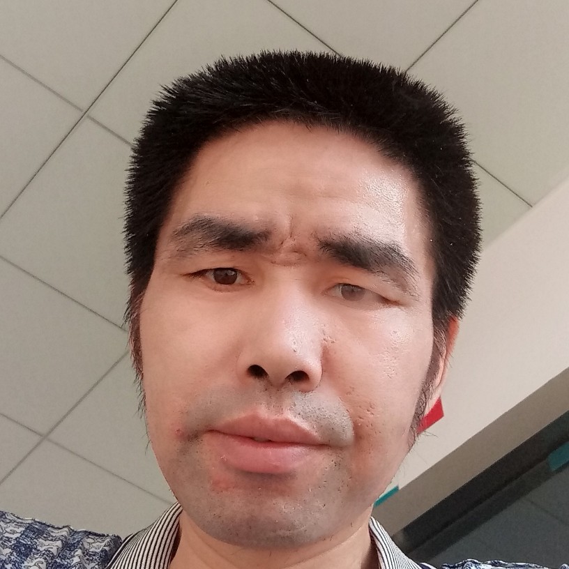 小鸽子苦恋重要的照片