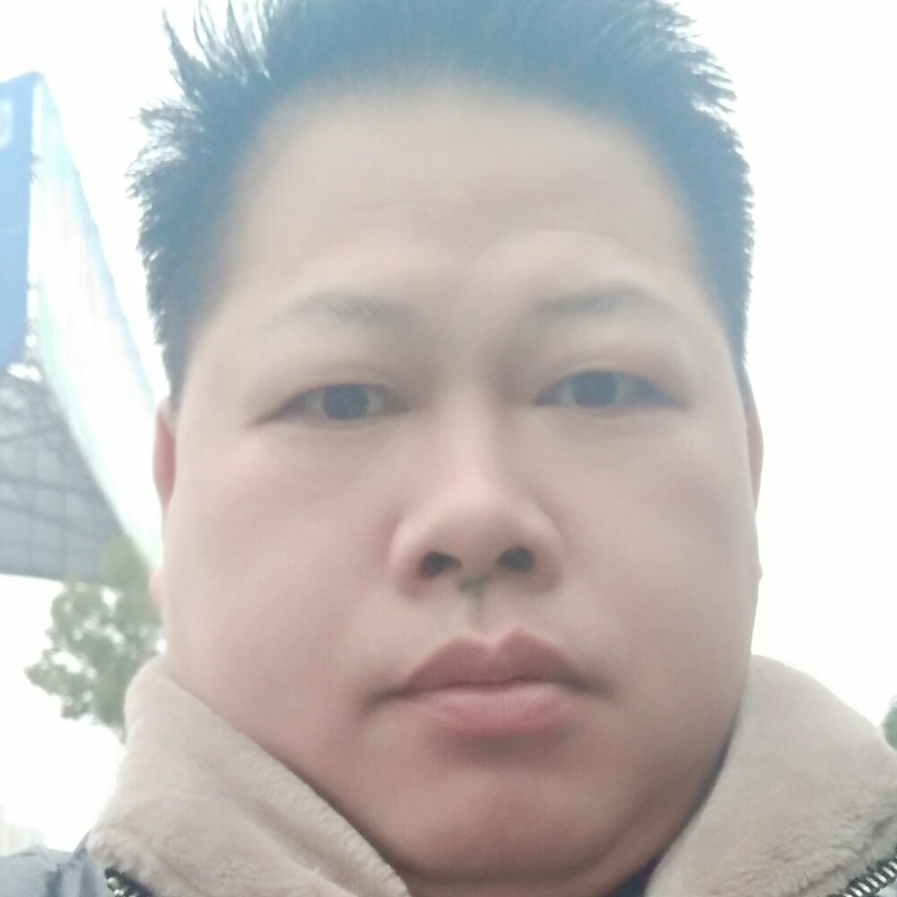 风儿飘的照片