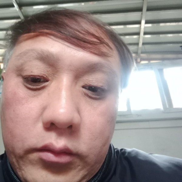 黃毛的照片