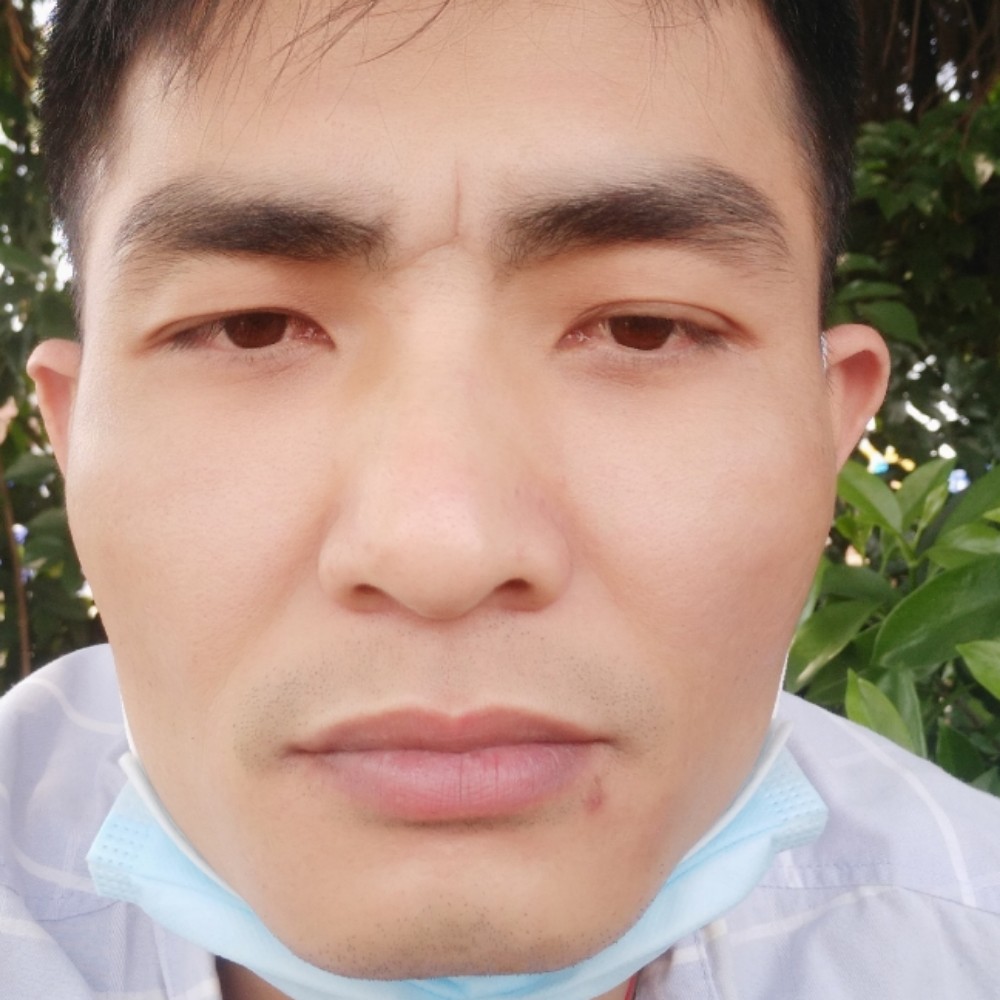 负责还仙人掌的照片