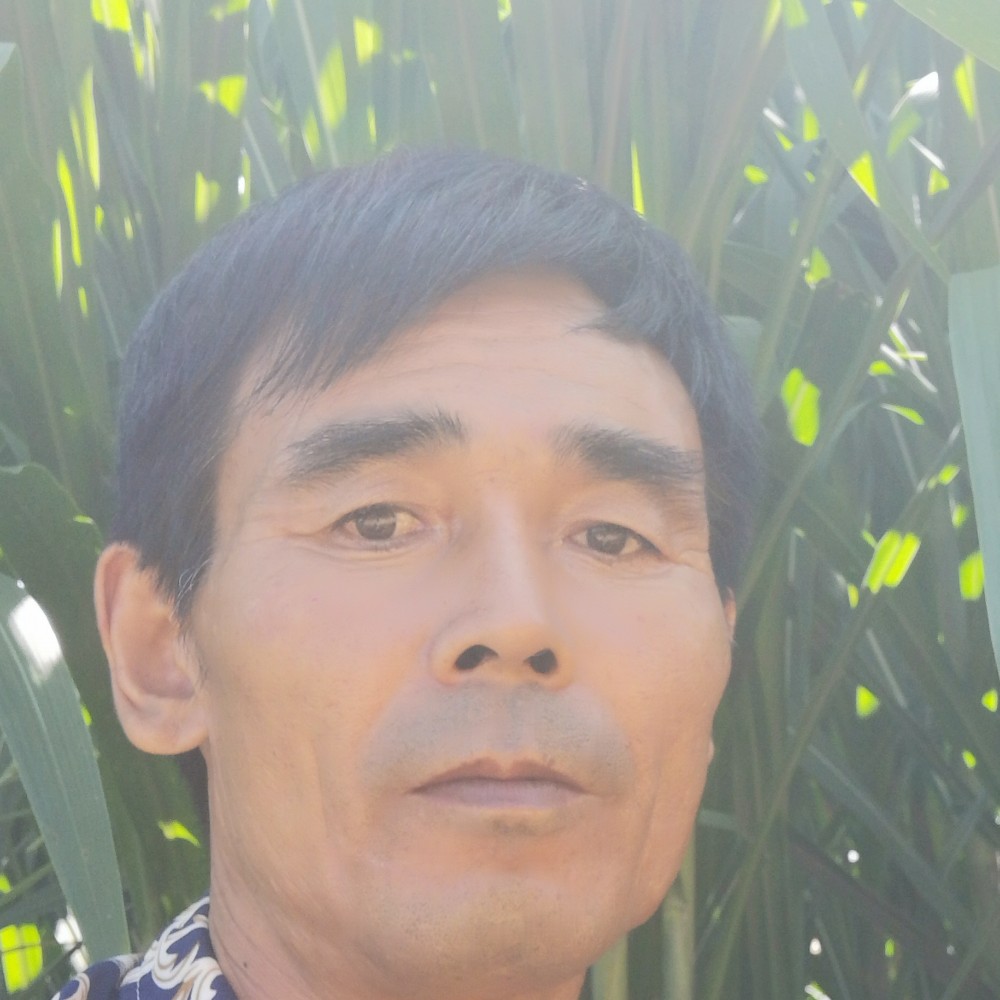 虚幻改变森槿的照片