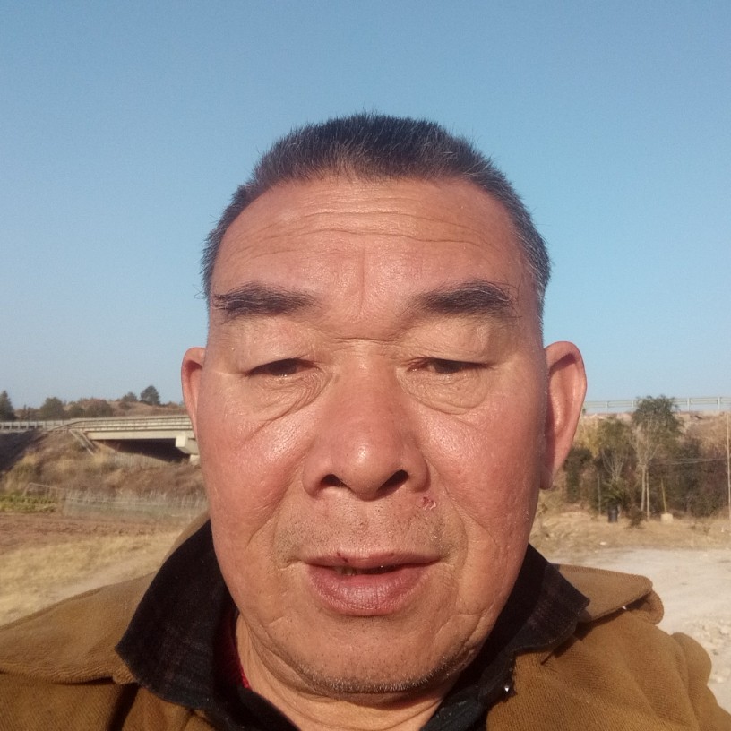 柚子的淡定的照片