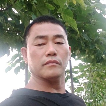 军中猛虎的照片