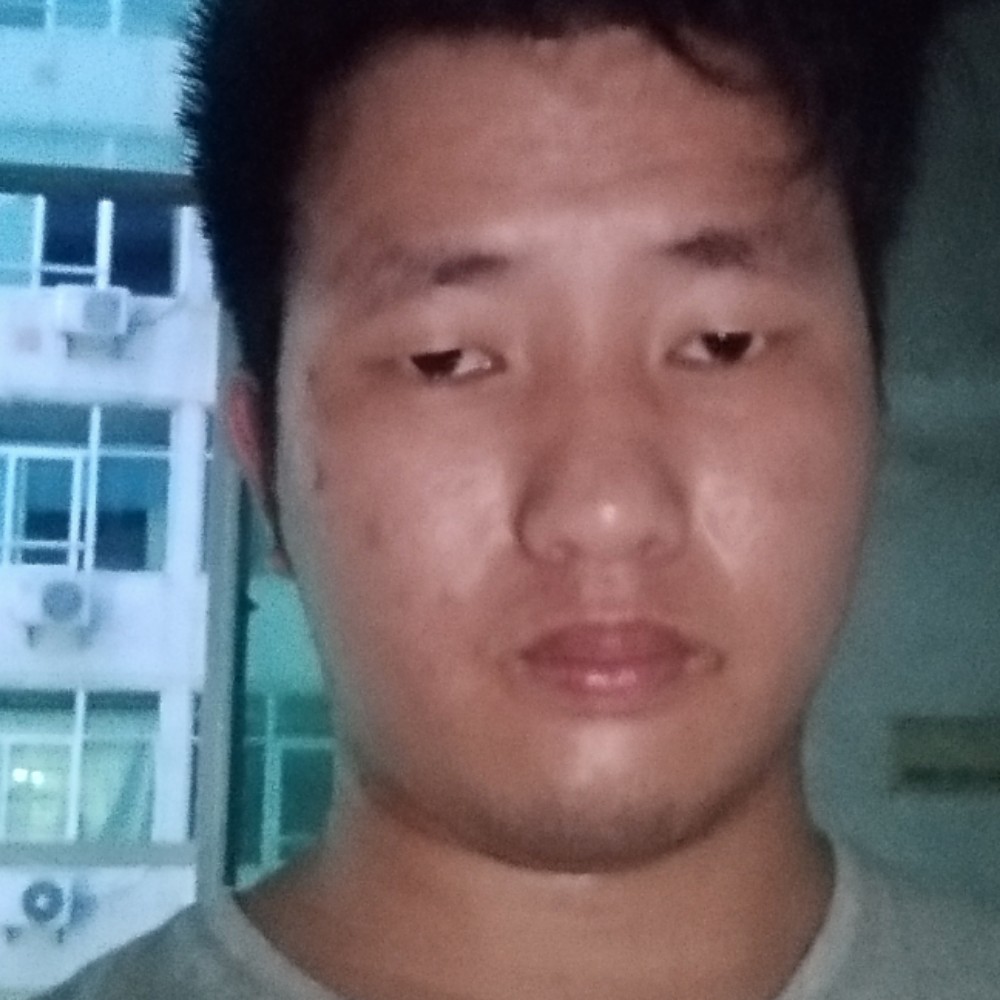 红玫瑰紧张的照片